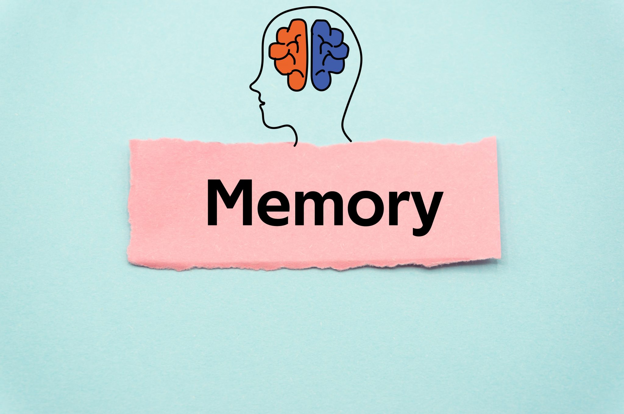 Improve Memory Retention And Recall Tips for Improving Memory Retention and Recall – Today Wellness Guide